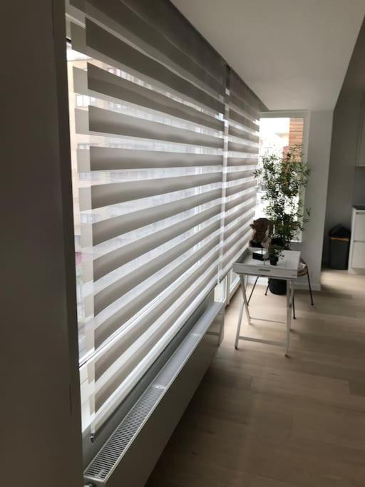 Casita Ostend City & Beach Ngoại thất bức ảnh